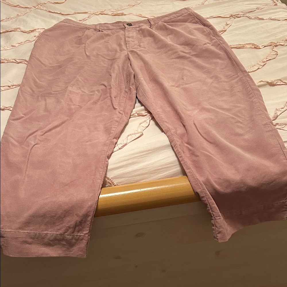 Universal Thread Mauve Chinos